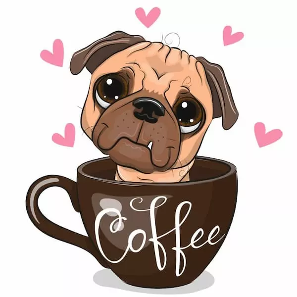 coffee-related dog names, unique dog names, coffee dog names, drink inspired dog names, cute dog names,food-inspired cat names, best food-inspired names, best dog names inspired by food,coffee-related puppy names, Italian dog names inspired by food, coffee puppy names, cool dog names, best dog names, female dog names, what are the best boy dog names, cat names, male dog names, girl dog names, dog names, perfect dog names, unusual male dog names