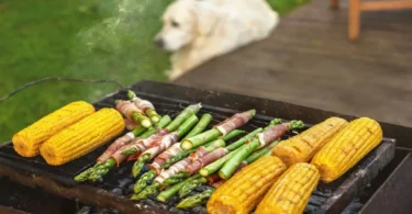 what can dogs not eat, can dogs have spinach, can dogs eat celery, can dogs eat cauliflower, can dogs have broccoli, what fruits can dogs eat, asparagus dogs cancer, asparagus dog video