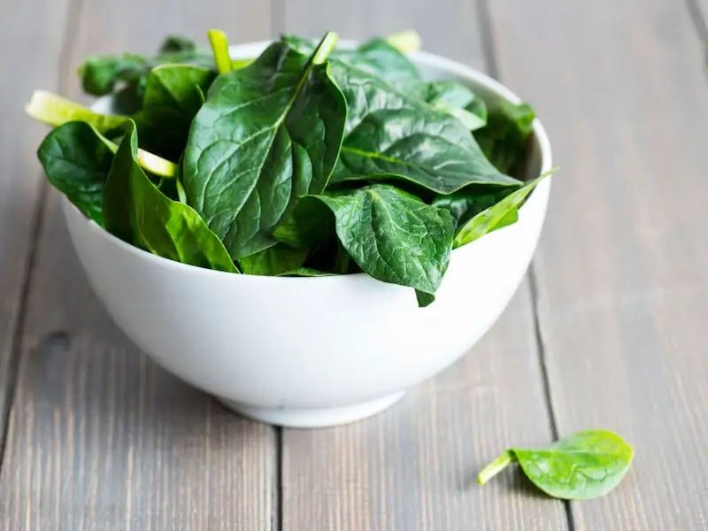 spinach, human food for cats, human foods that are good for cats, human foods for cats, human foods cats can eat, cats, human foods that are great for cats, human foods that are toxic for cats,11 human foods your cat can eat, toxic food for cats, what can cats eat, safe food for cats, human foods that are safe for cats, safe human food for cats, dangerous foods for cats, foods that are toxic to cats, foods that are safe for cats, dangerous food for cats
