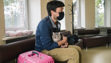 cat owner in hotel lobby Frau aus UA Shutterstock