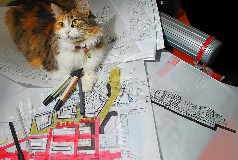 A cat sitting on architectural sketches of an urban project Felix Tchvertkin Shutterstock