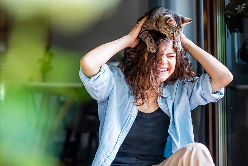 Beautiful young woman laughing happily with a cat on her head Olesya Kuznetsova Shutterstock