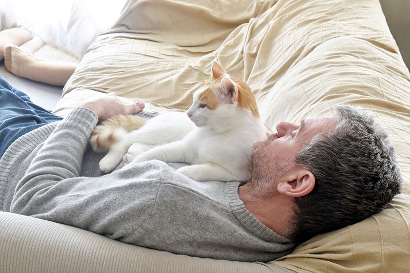 Cat laying on owners chest Maliflower73 Shutterstock