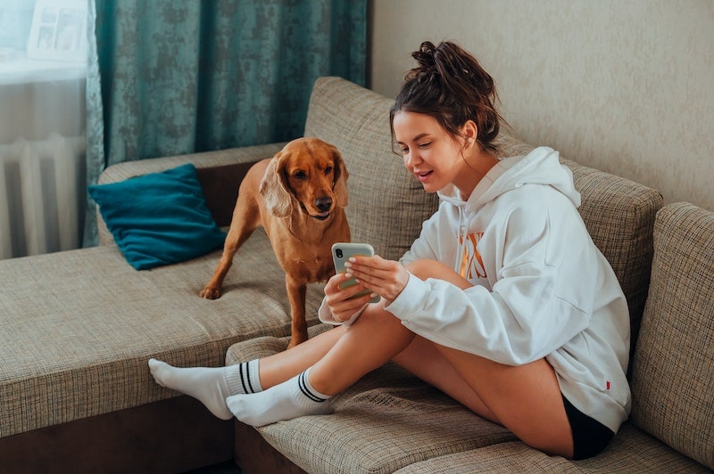 Woman showing phone to a brown dog Ivan Babydov
