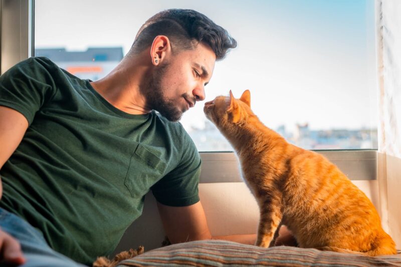 cat looking mans chin Magui RF Shutterstock scaled e1681208589698