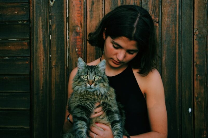 woman holding grey cat Piqsels e1682429654287