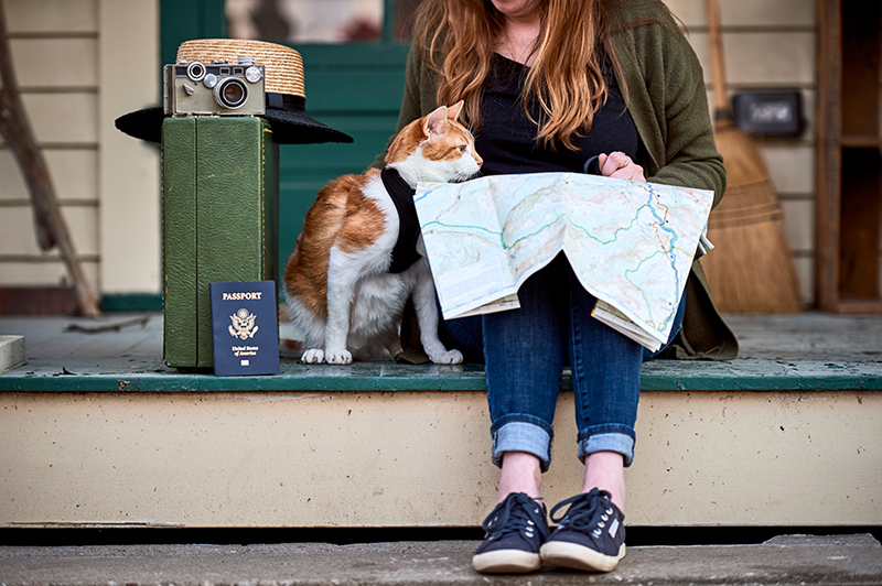 young woman and cat travelling with US passport Brian Goodman Shutterstock