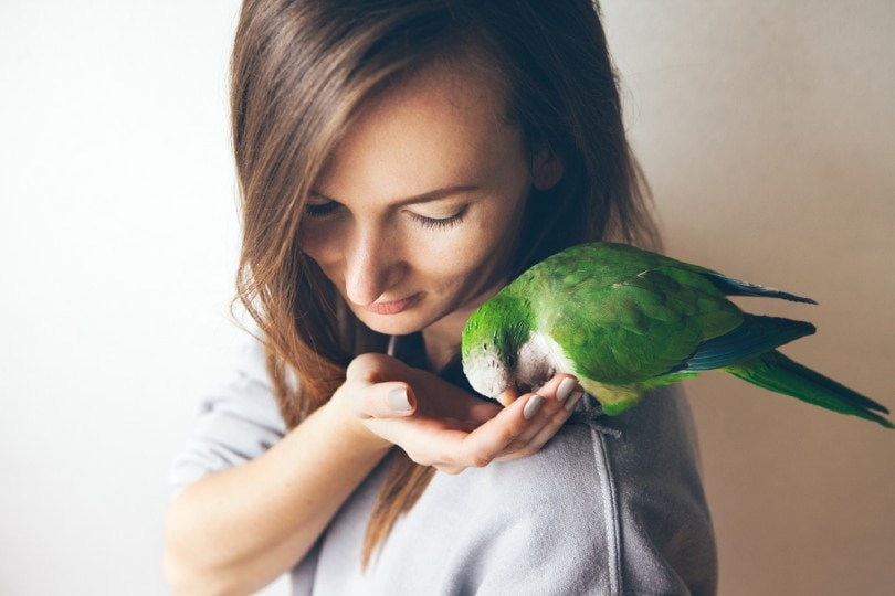 young woman feeding parakeet parrot Veera Shutterstock