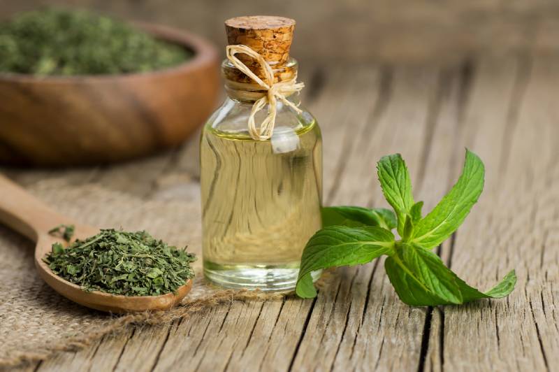 Glass bottle of peppermint essential oil with fresh green mint leaves and dried mint on rustic background Halil ibrahim mescioglu Shutterstock