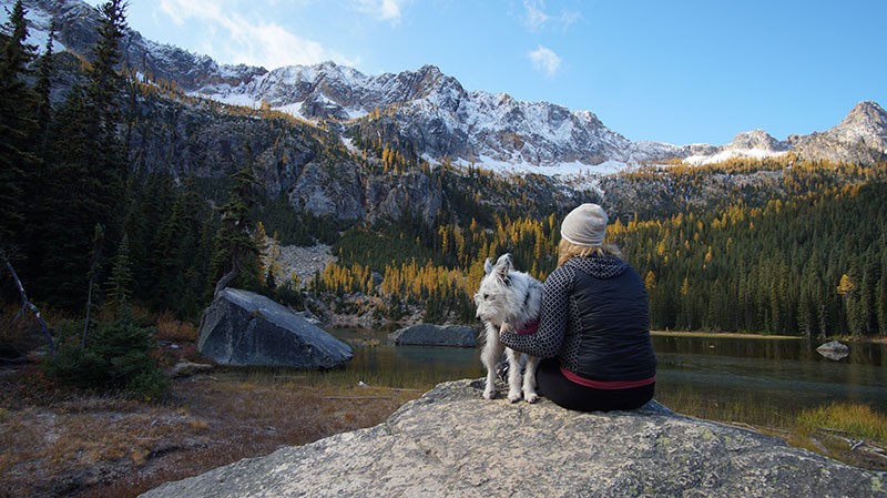 Hiking with dog Exploring Washington State Kevin Lobene Shutterstock