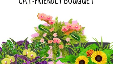 EC Cat Friendly Bouquets