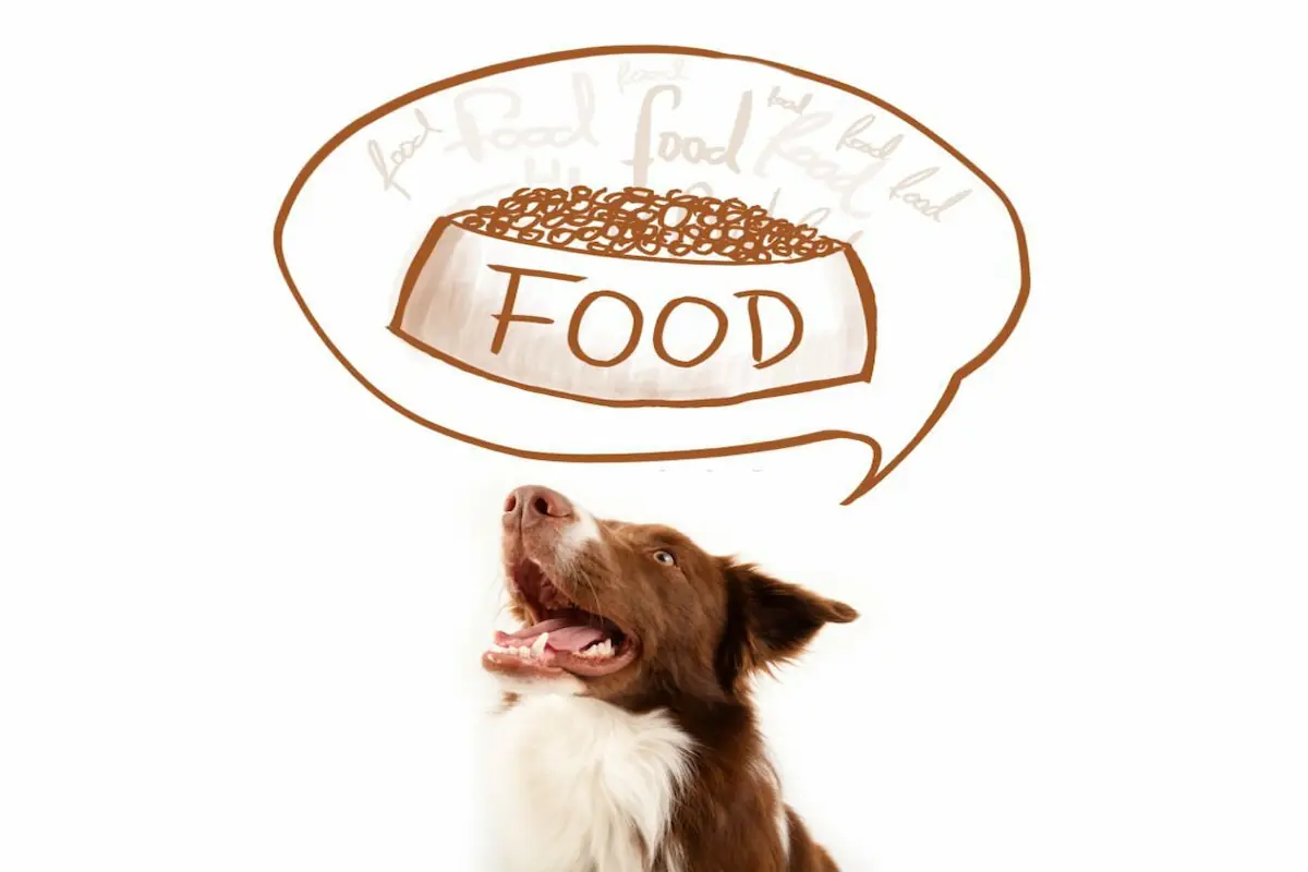 Adorable Food Dog Names