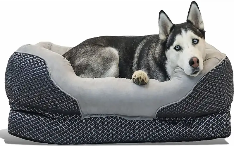 Best Bolster Dog Beds