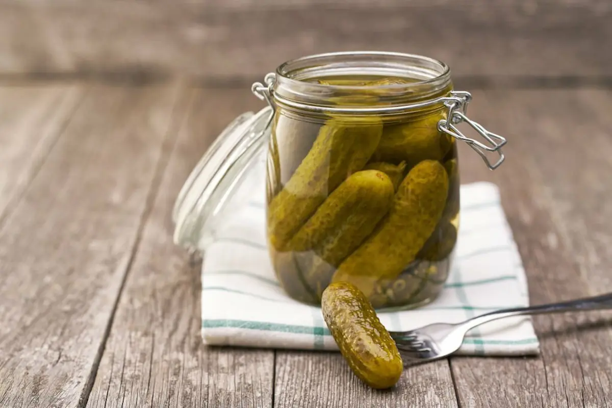 Can Dogs Eat Pickles?