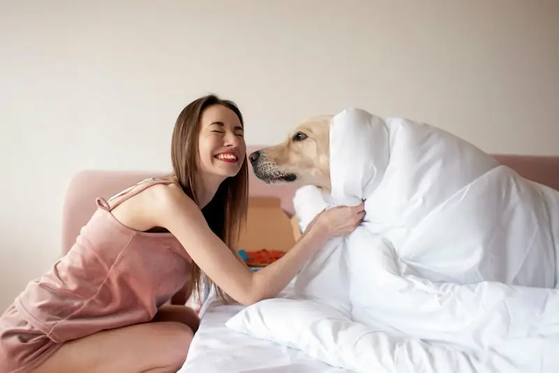 The Benefits Of Morning Doggy Love