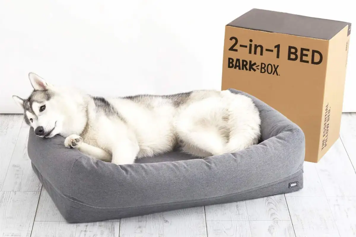 barkbox free bed