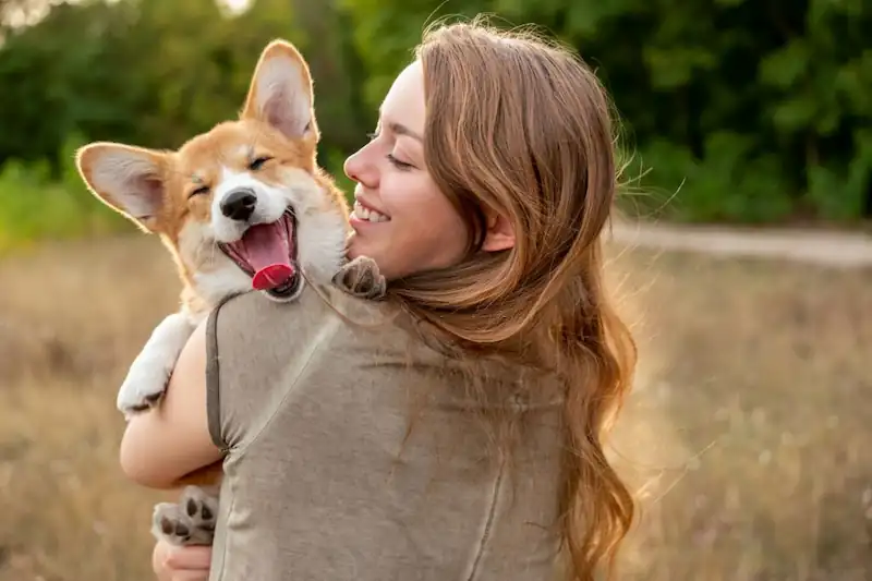 Telltale Signs Your Dog Loves You