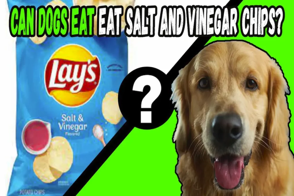 Can Dogs Eat Salt And Vinegar Chips