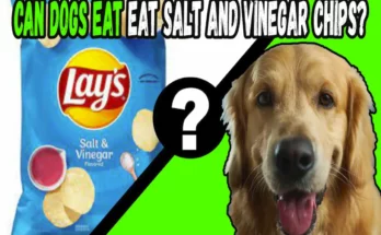Can Dogs Eat Salt And Vinegar Chips
