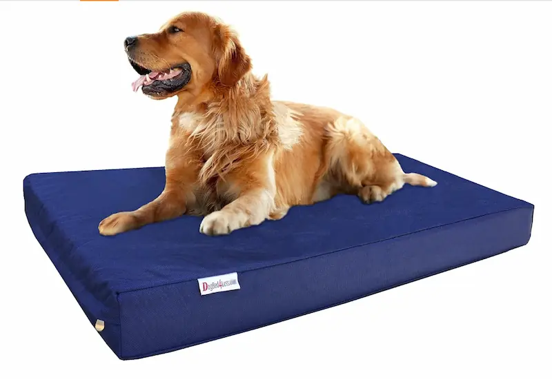 bed with dog bed