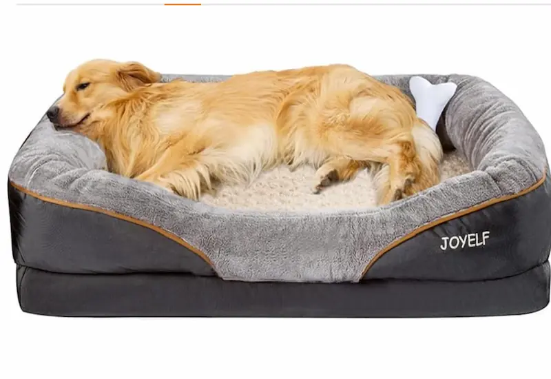Best Dog Bed For Dogs That Shed