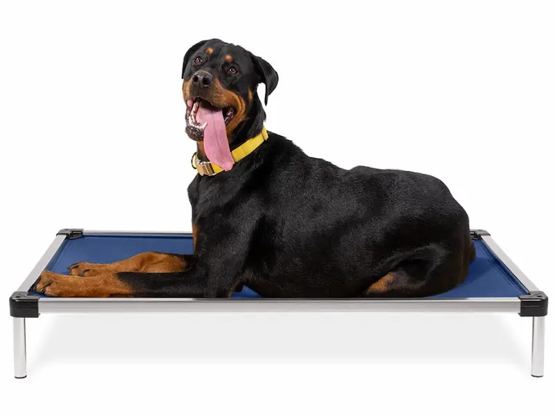 Best Dog Crate Pad for Chewers