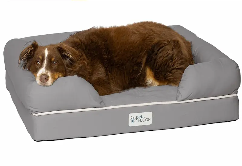 dog bed for bed