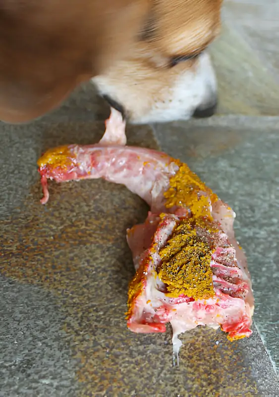 Turmeric For Dogs