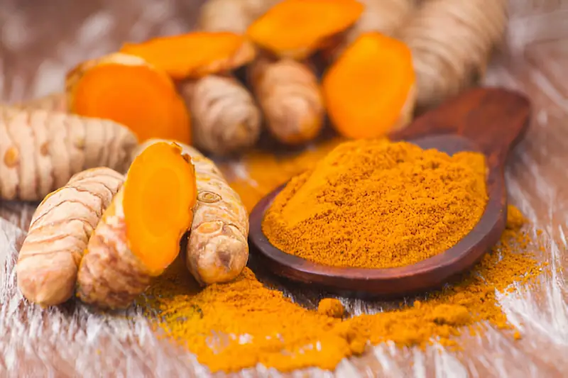 What are the benefits of turmeric for your dog